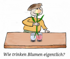 Paco-Wie_viel_trinken_Blumen