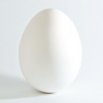 White_chicken_egg_square